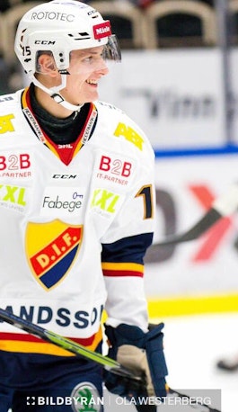 Ludvig Hedström