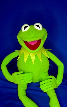 Kermitthepuppet 