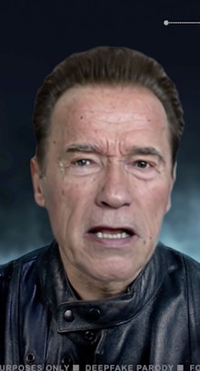 Deep Fake Schwarzenegger
