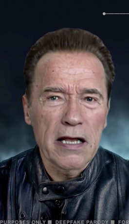 Deep Fake Schwarzenegger