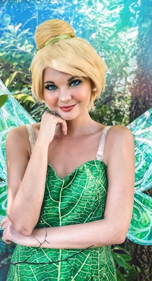 Tinkerbell The Fairy 