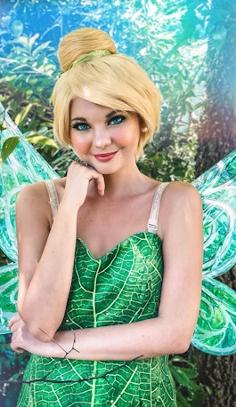 Tinkerbell The Fairy 