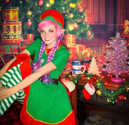 Christmas Elf Holly